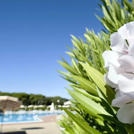 شقة فندقية Isa-apartments For 6 People, 2 Bedrooms, In With Swimming Pool In San Vincenzo, Just 600 Meters From The Sea *